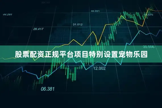 股票配资正规平台项目特别设置宠物乐园