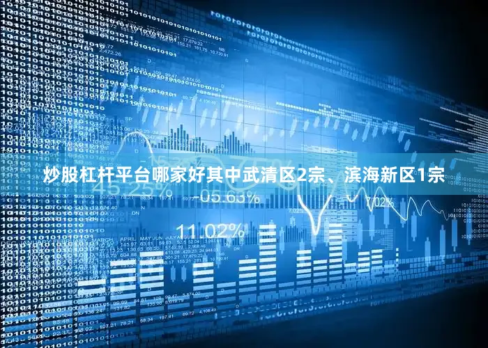 炒股杠杆平台哪家好其中武清区2宗、滨海新区1宗