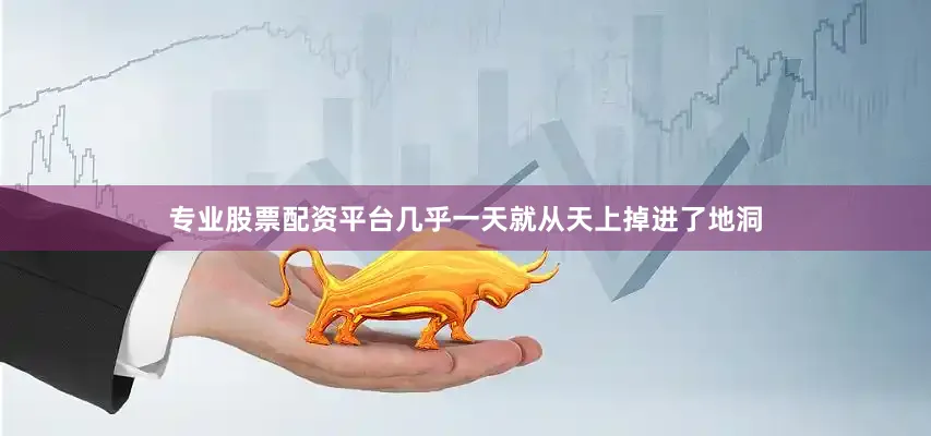 专业股票配资平台几乎一天就从天上掉进了地洞